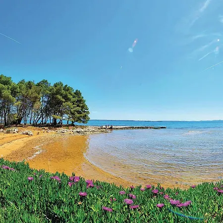 Stunning In With Wifi Appartement