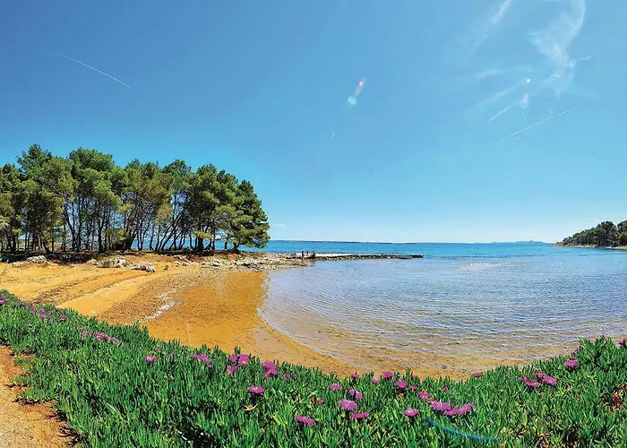 Stunning In With Wifi Appartement